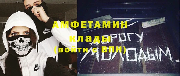 ПСИЛОЦИБИНОВЫЕ ГРИБЫ Алзамай