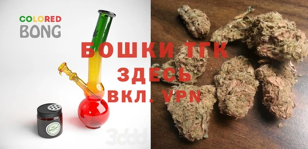 ПСИЛОЦИБИНОВЫЕ ГРИБЫ Алзамай