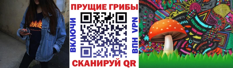 где купить наркоту  Апрелевка  Псилоцибиновые грибы Psilocybine cubensis 