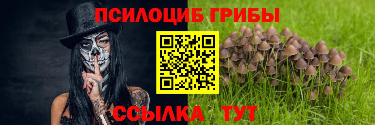 наркошоп  Вход с VPN  Апрелевка  Псилоцибиновые грибы ЛСД 